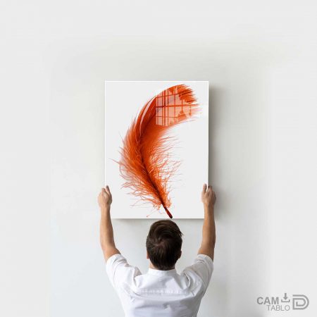Cam Tablo Kırmızı Tüy - Görsel 5