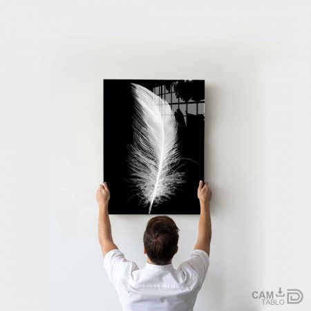 Cam Tablo Beyaz Tüy - Görsel 3