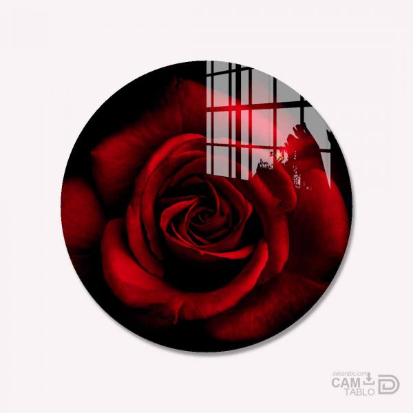 Cam Tablo Kırmızı Gül