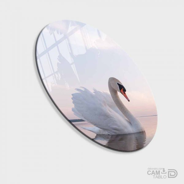 Cam Tablo Beyaz Kuğu - Görsel 2